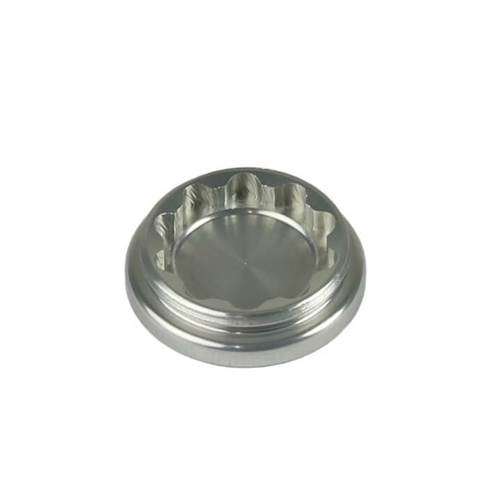 V Caliper Bore Caps SILVER