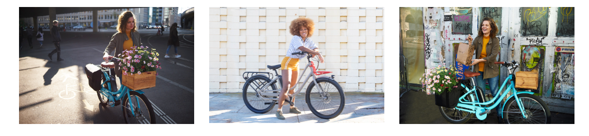 Benno Ebike